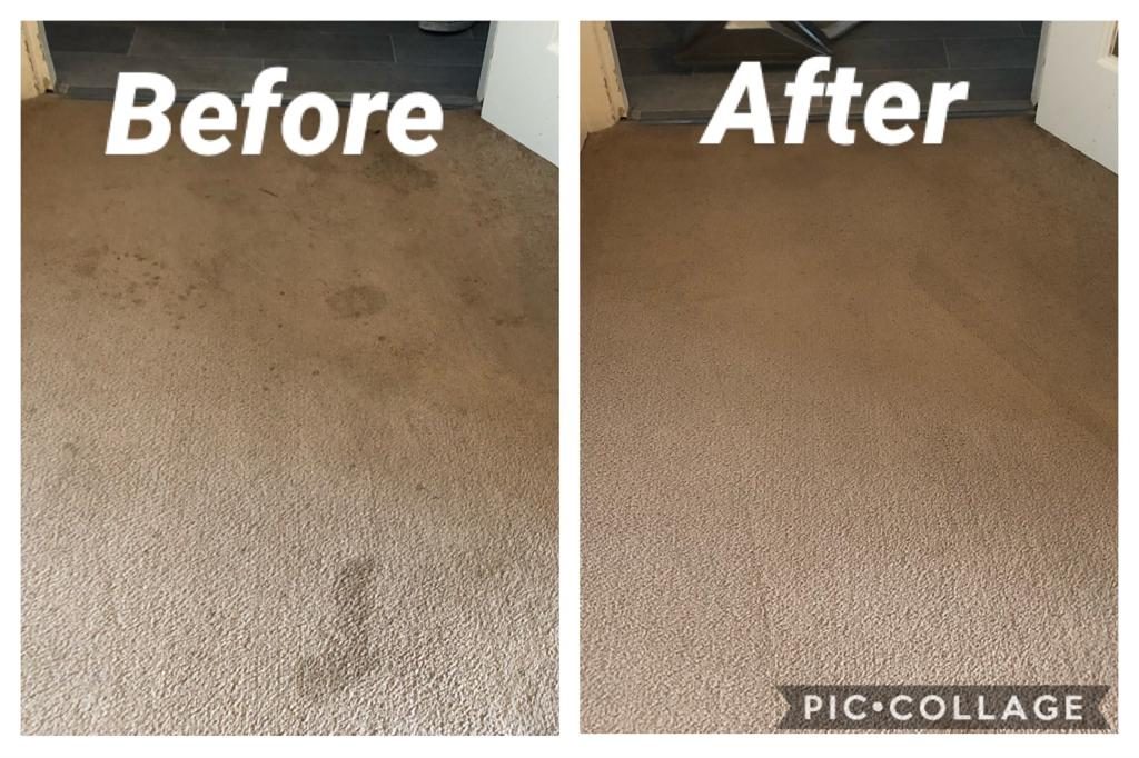 Carpet cleaners Seaford